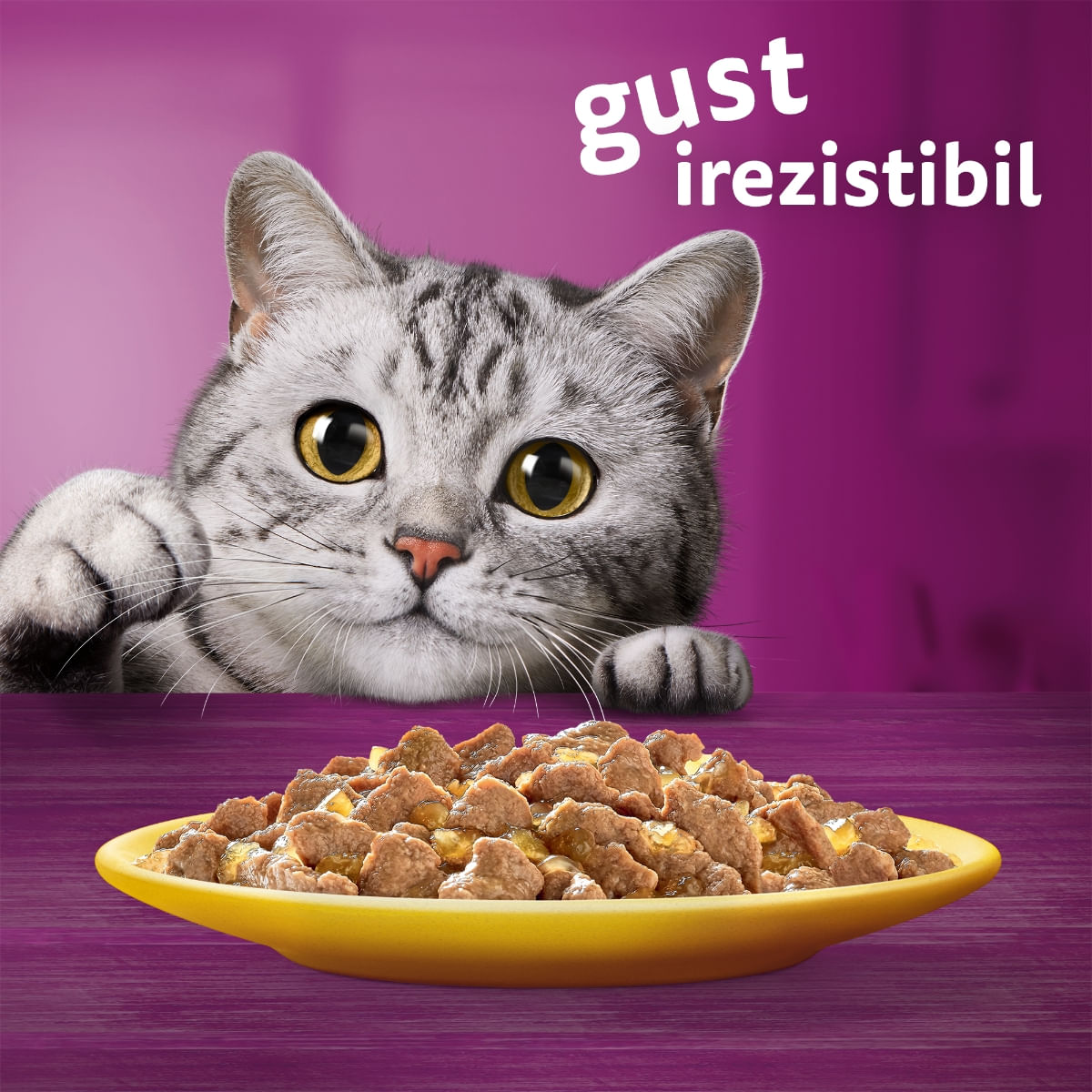 WHISKAS Selectii Pasăre, Pui și Curcan, plic hrană umedă pisici, (în aspic), multipack, 85g x 4 - poza 4