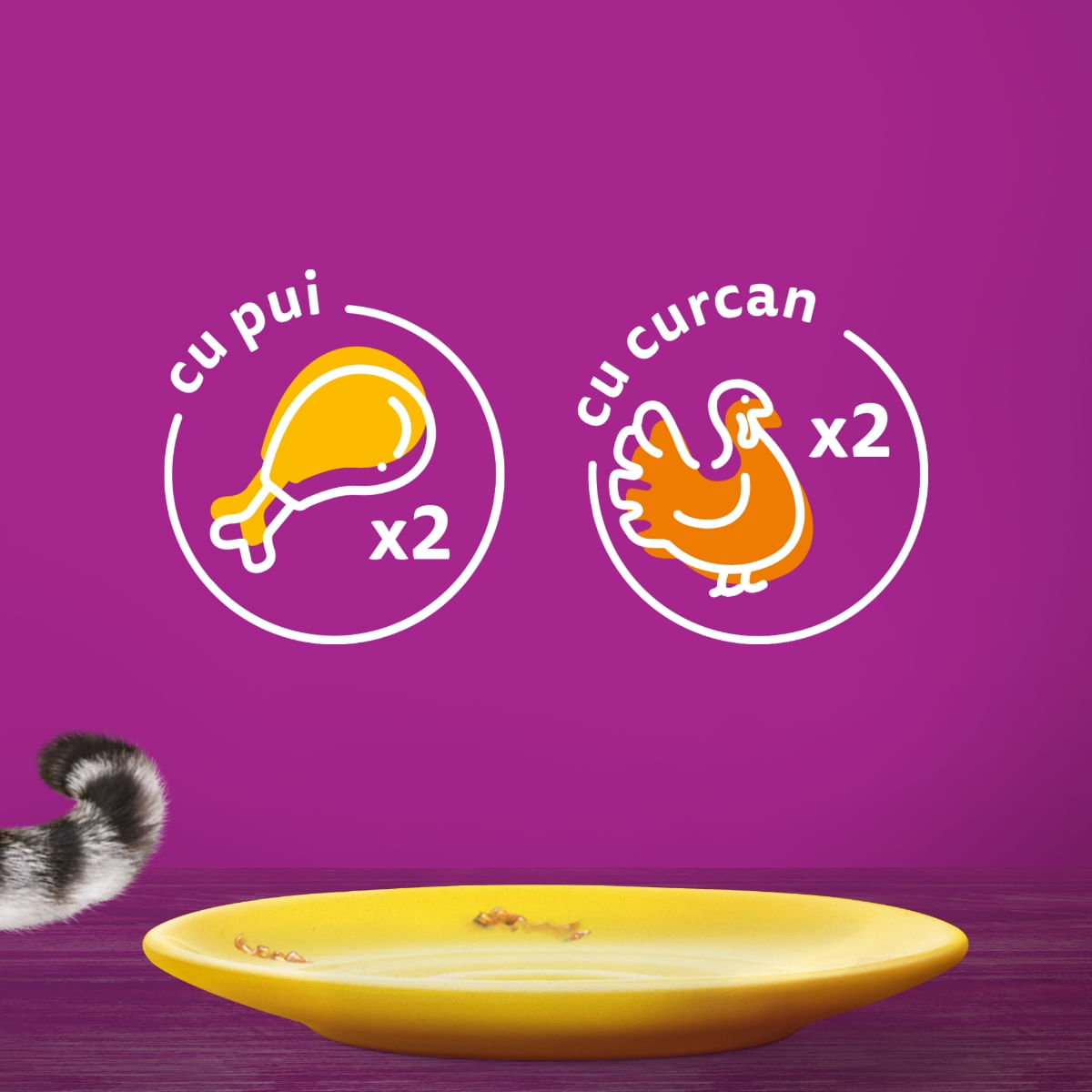 WHISKAS Selectii Pasăre, Pui și Curcan, plic hrană umedă pisici, (în sos), multipack, 85g x 4 - poza 3