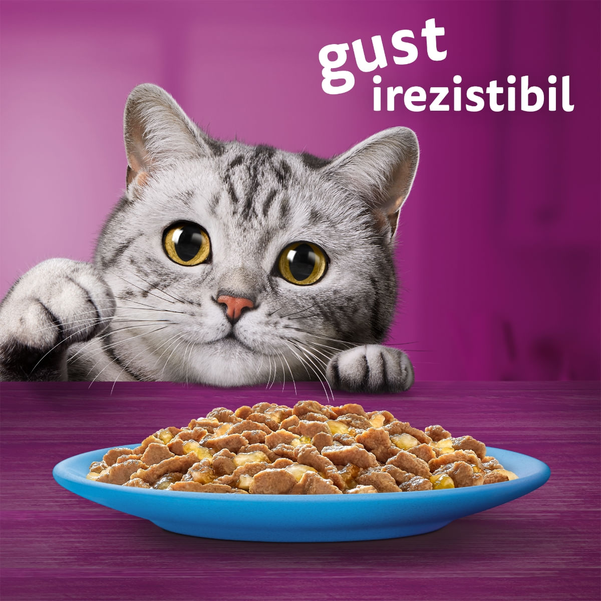 WHISKAS Selectii Pește, Somon și Ton, plic hrană umedă pisici, (în aspic), multipack, 85g x 4 - poza 4