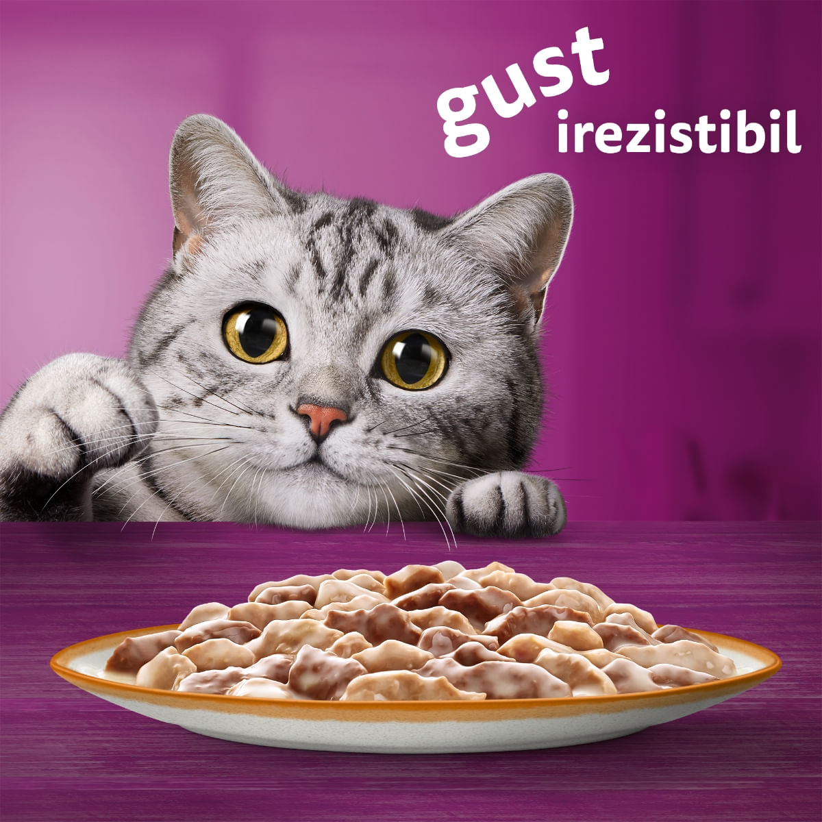 WHISKAS Tasty Mix Creamy Creations, Miel și Curcan, plic hrană umedă pisici, (în sos), 85g - poza 5