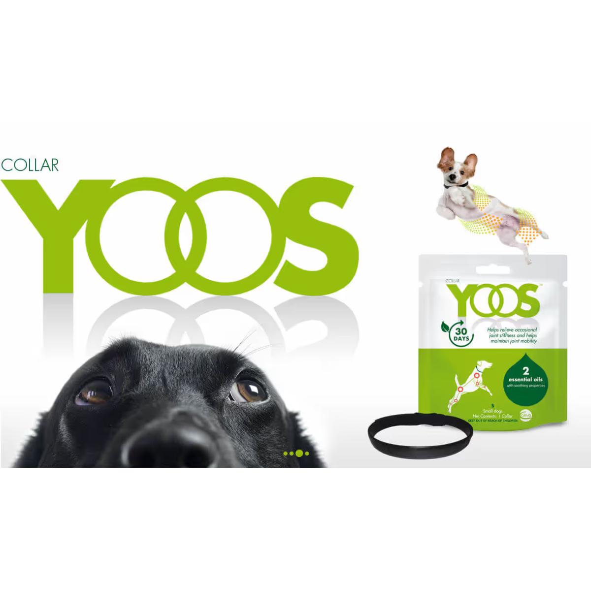 YOOS Zgardă pentru disconfort articular, supliment sistem articular câini, zgardă YOOS Zgardă pentru disconfort articular, XS-S, supliment sistem articular câini, 1buc zgardă - poza 4