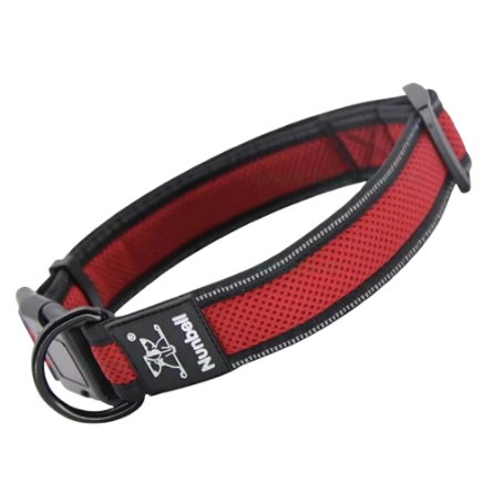 Zgarda chinga pentru caini simpla 60 cm