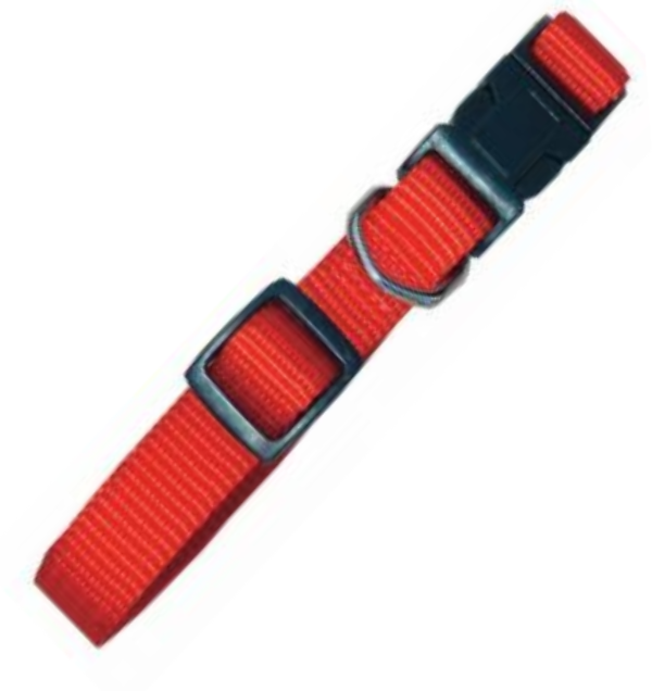 Zgarda Nylon 25 mm