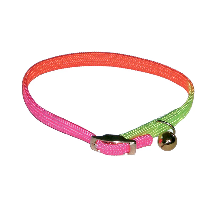 Zgarda pentru pisici Croci Curcubeu, 1 x 31 cm