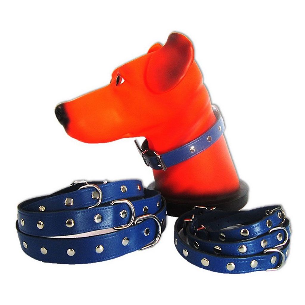 Zgarda Pet Expert Capse 1,2x33 Cm Albastru Nr.1