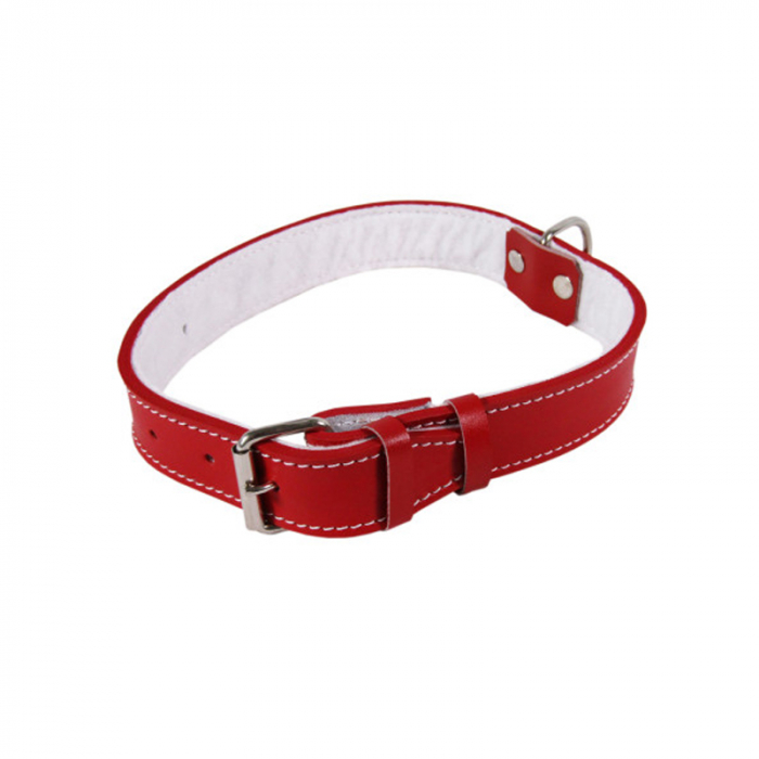 Zgarda Piele Tip 30 (65 cm 30 mm) cu Pasla, Rosu
